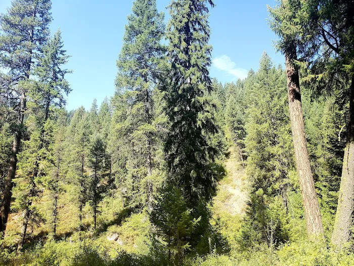Trail Creek Campground Picture 4