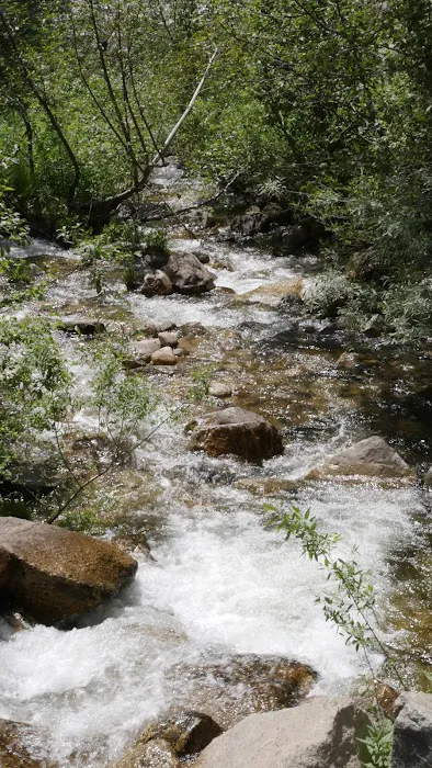 Trail Creek Campground Picture 7