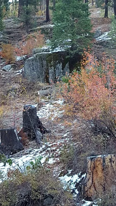 Rattlesnake Campground Picture 4