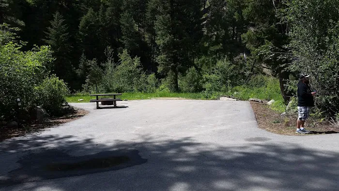 Rattlesnake Campground Picture 3