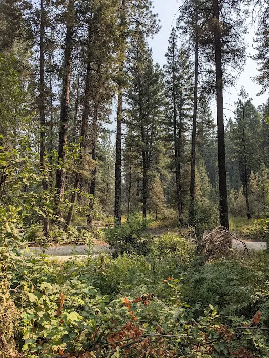 Hardscrabble Campground Picture 1