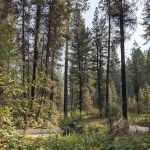 Hardscrabble Campground