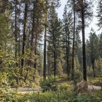 Hardscrabble Campground ico