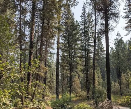 Hardscrabble Campground