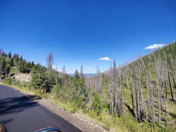 Hardscrabble Campground Picture 7