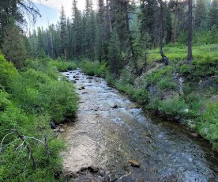 Park Creek Campground