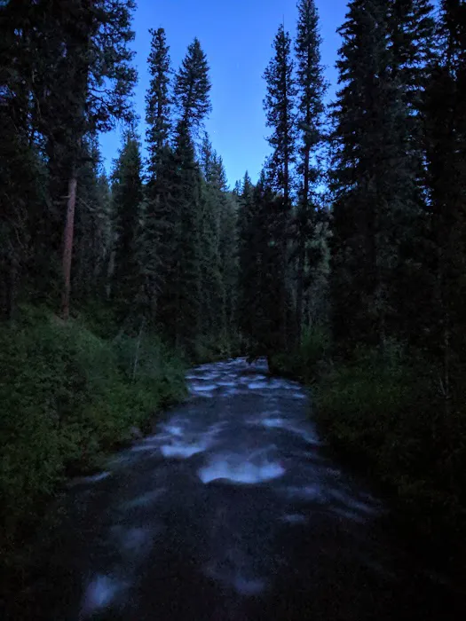 Park Creek Campground Picture 6