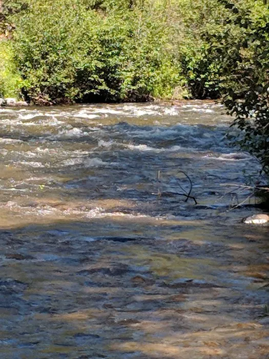 Deadwood Campground Picture 4
