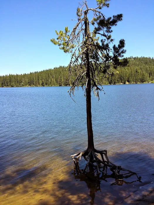 Hollywood Point Campground Picture 1