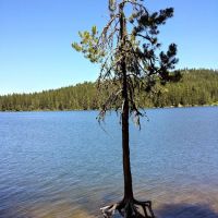 Hollywood Point Campground ico