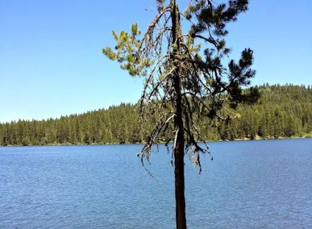 Hollywood Point Campground
