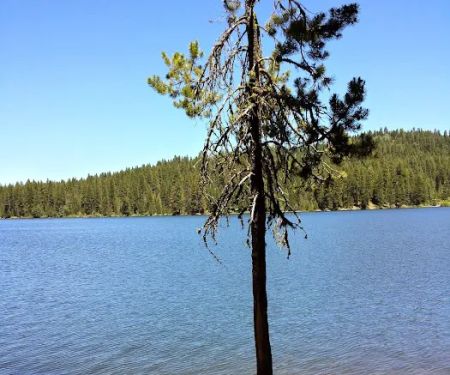 Hollywood Point Campground