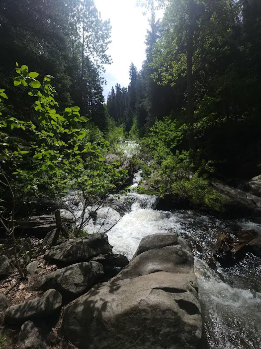 Hollywood Point Campground Picture 4