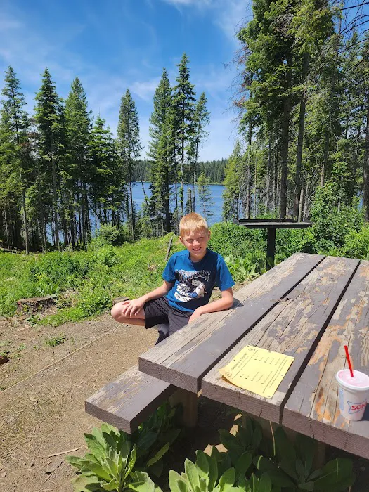 Hollywood Point Campground Picture 6
