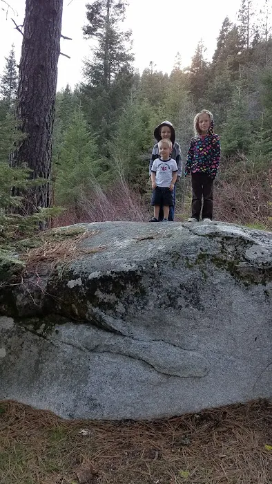 Big Eddy Campground Picture 6