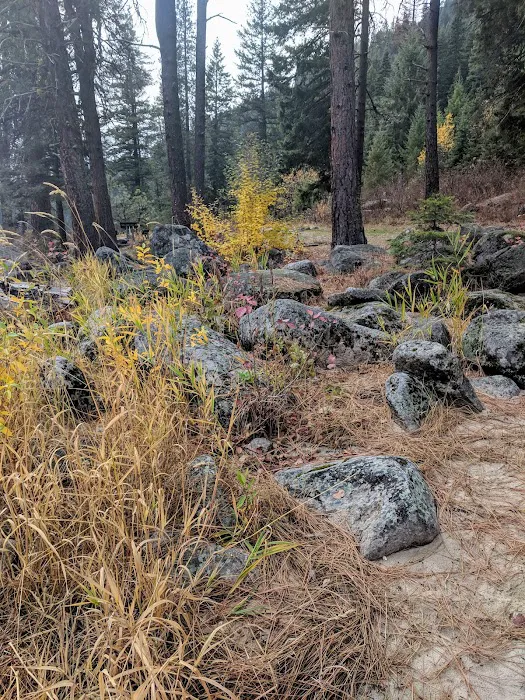 Big Eddy Campground Picture 10