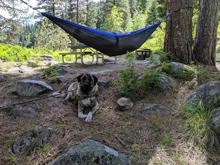 Big Eddy Campground Picture 8