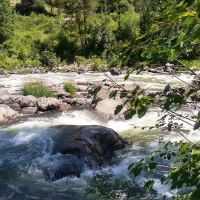 COLD SPRINGS CAMPGROUND - BOISE NF (recgovnpsdata) ico