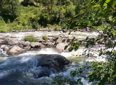 COLD SPRINGS CAMPGROUND - BOISE NF (recgovnpsdata)