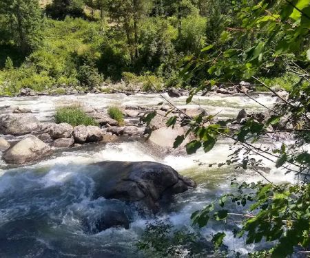 COLD SPRINGS CAMPGROUND - BOISE NF (recgovnpsdata)