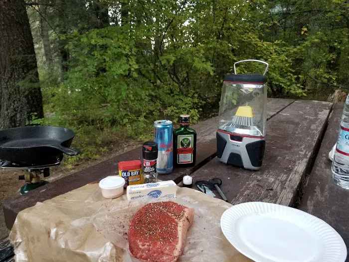 Swinging Bridge Campground Picture 3
