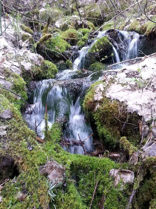 Swinging Bridge Campground Picture 2