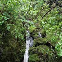 Swinging Bridge Campground ico