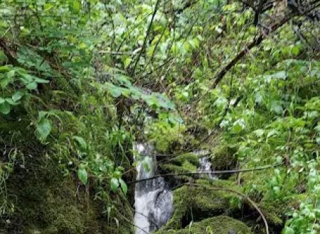 Swinging Bridge Campground