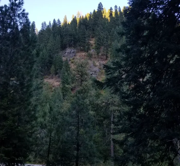 Swinging Bridge Campground Picture 5