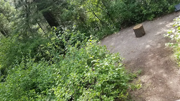 Swinging Bridge Campground Picture 8
