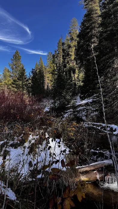 Lowman Ranger Station Picture 6
