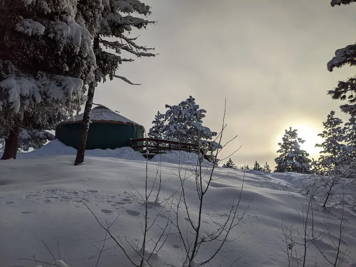 Elkhorn Yurt Picture 4
