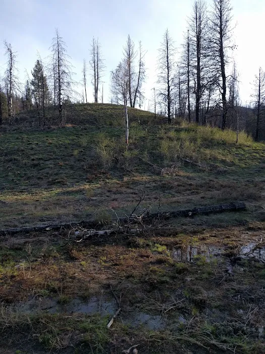 Willow Creek Campground (Idaho City) Picture 7