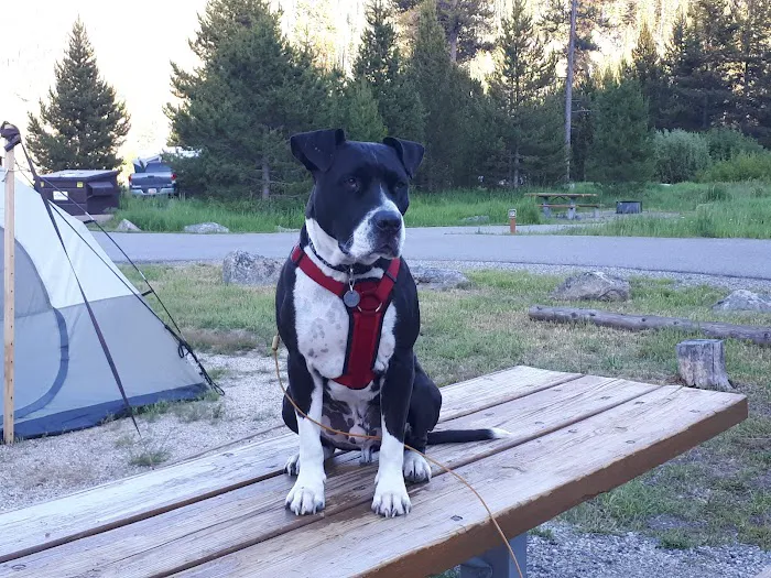 Mormon Bend Campground Picture 9