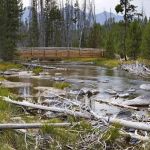 Chinook Bay Campground