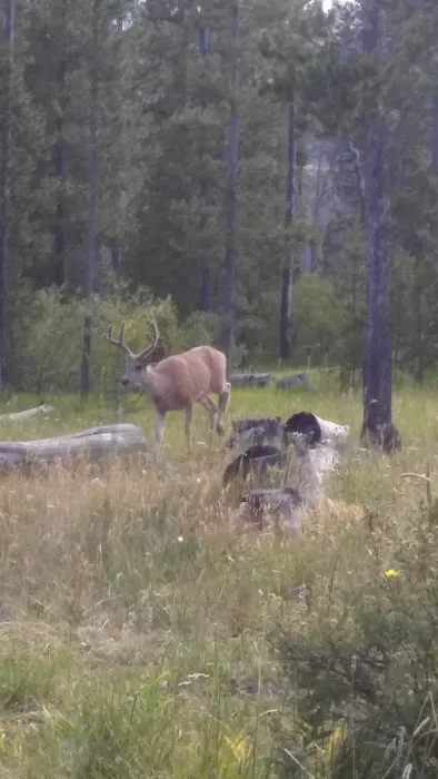Chinook Bay Campground Picture 5
