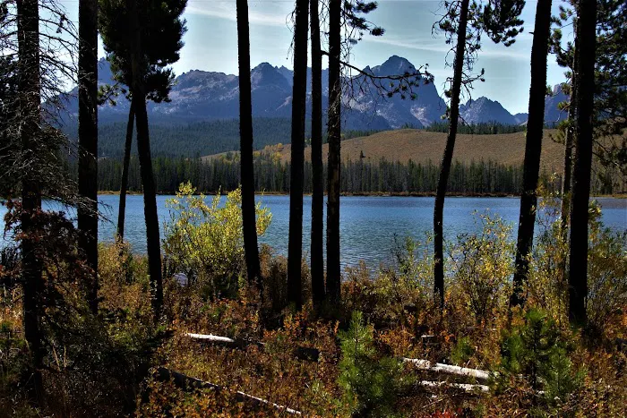 Mountain View Campground Picture 8