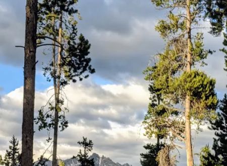 Glacier View Campground