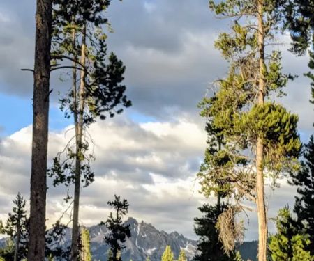Glacier View Campground