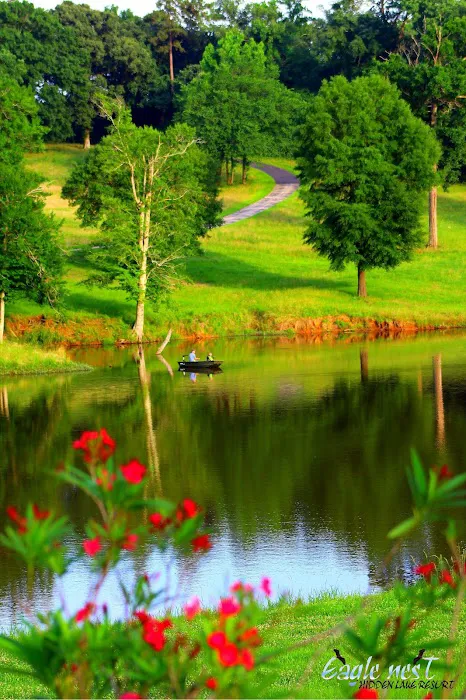Eagle Nest Hidden Lake Resort Picture 9