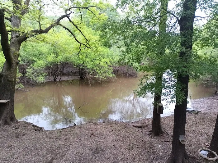 Loggy bayou camp ground Picture 1