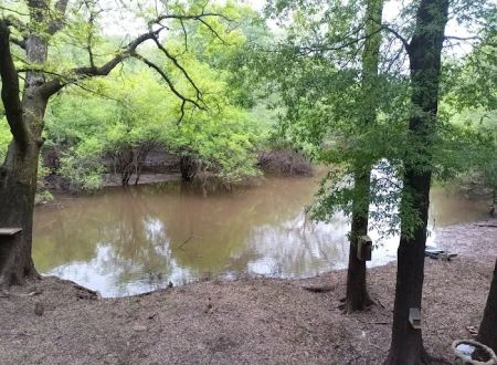 Loggy bayou camp ground