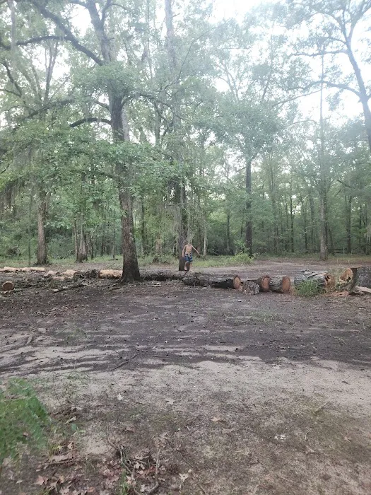 Holly Bluff Campground Picture 2