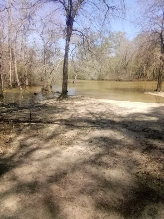 Holly Bluff Campground Picture 7
