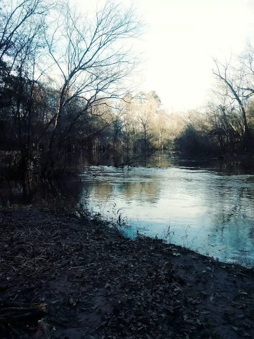 Holly Bluff Campground Picture 10