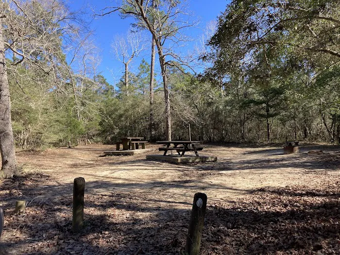 Double Lake Campground Picture 5