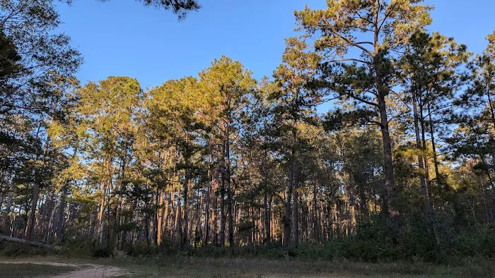 Shell Oil Road Hunter Camp Picture 2