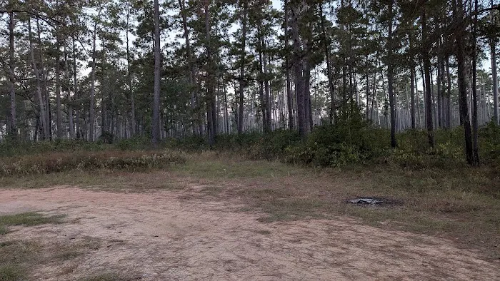 Shell Oil Road Hunter Camp Picture 1