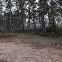 Shell Oil Road Hunter Camp ico