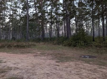 Shell Oil Road Hunter Camp